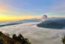 bromo