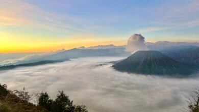 bromo