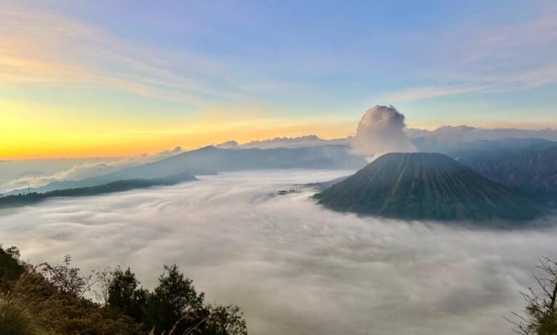 bromo